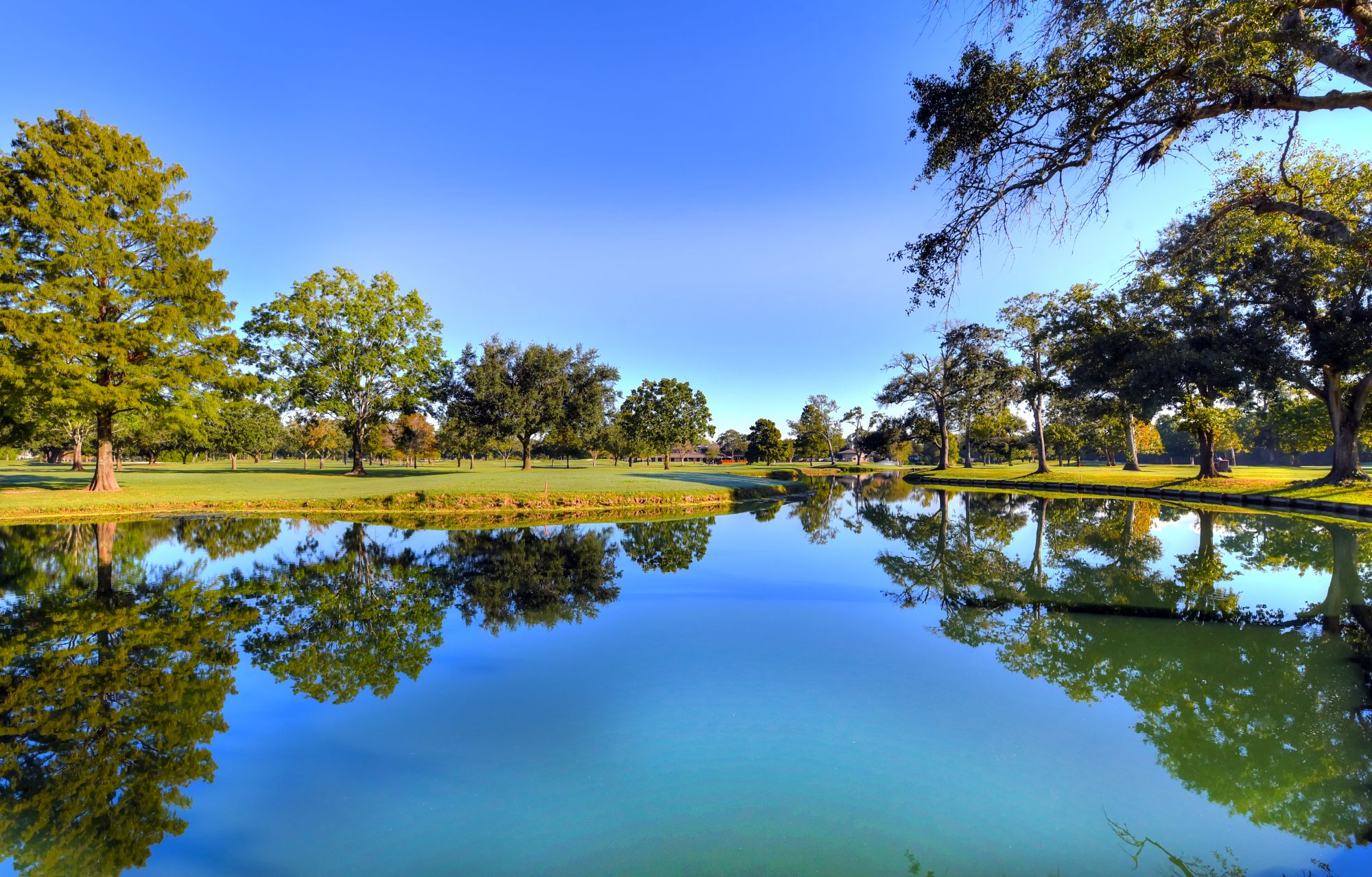 Golf - Pine Forest Country Club